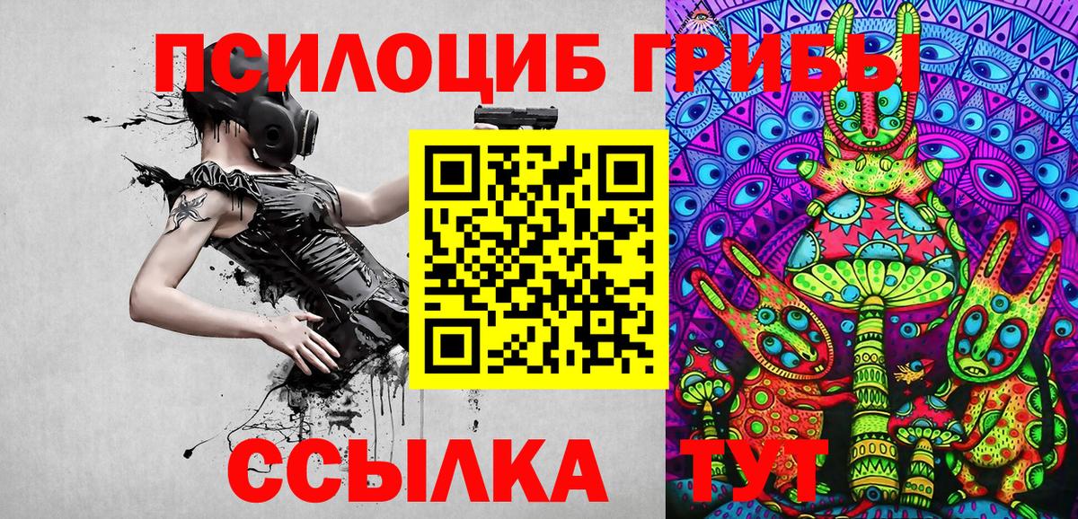 цена наркотик  Вход с VPN  Егорьевск  Галлюциногенные грибы Cubensis 